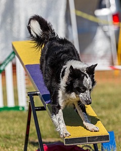 20180617-0280.jpg