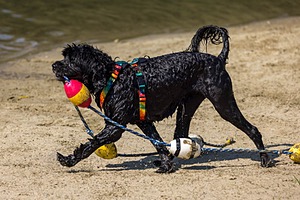 20220806-CWD-0084-2.jpg
