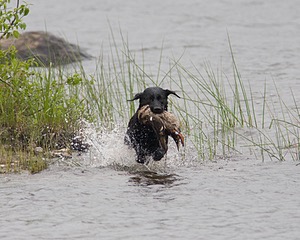 20080531-HRW-0566.jpg