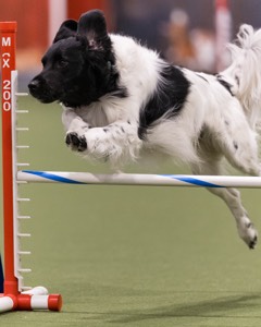 Benji Goerlich