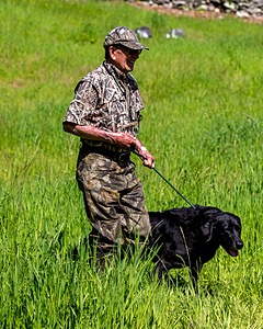Ruger Bodine