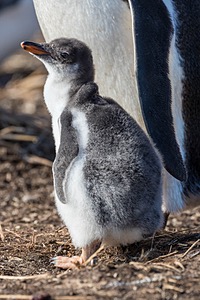20191218-1206.jpg