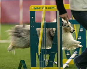 20150321-LEAP-1524.jpg