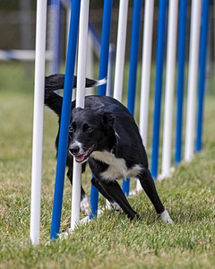 20200819-2139.jpg
