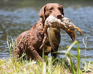 20130602-SEAW-0506.jpg