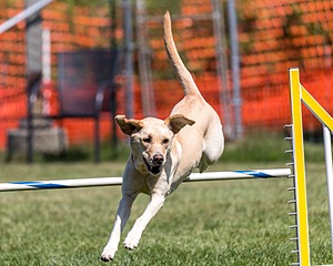 20200819-2252.jpg