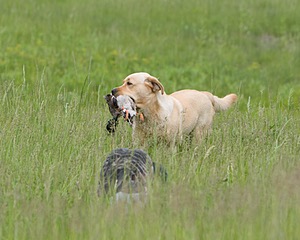 20080531-HRL-0398.jpg