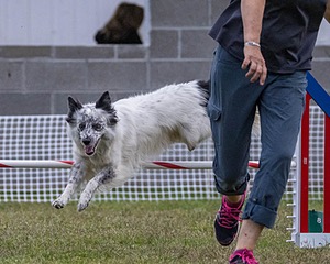 20230917-PVKC-3122.jpg