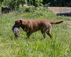 20210606-SEAL-1794.jpg