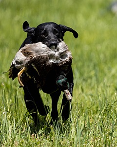 20220605-FINL-1776.jpg