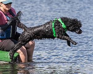 20170820-CWD-0021.jpg