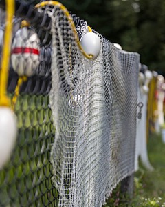 20190817-C-0014.jpg