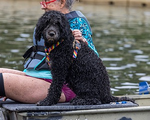 Sofia Lowe