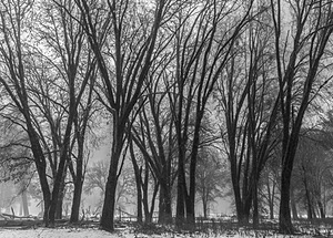 20170208-0074.jpg