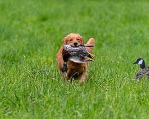 20170603-SHRL-0039.jpg