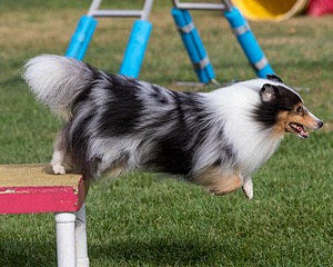 20200819-0325.jpg