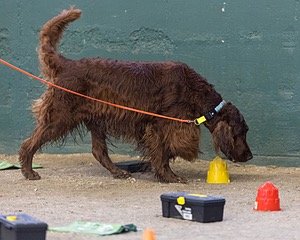 20260718-NSKC-0703.jpg