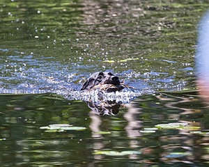 20170716-WCXW-1006.jpg