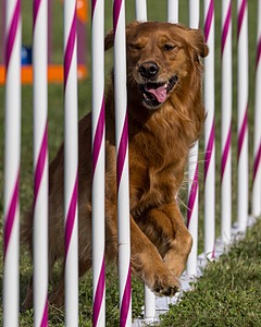 20230916-PVKC-1436.jpg