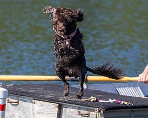 Tootsie Totten