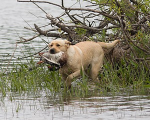 20080531-HRW-0389.jpg