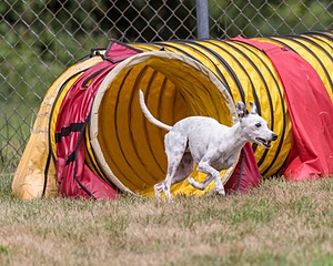 20200819-1797.jpg
