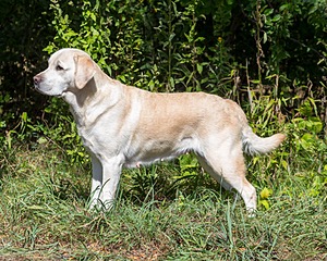 20160924-P-0037.jpg