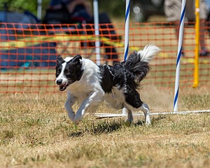 20160619-CCKC-1032.jpg