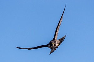 20191218-1038.jpg