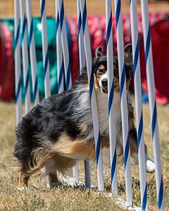 20160618-CCKC-1620.jpg