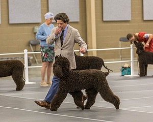 201 - CH Realta & Sycomore O’Boy