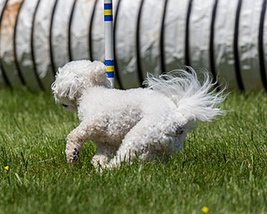20170520-NEAT-1585.jpg