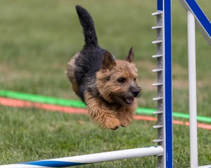 20200819-1789.jpg