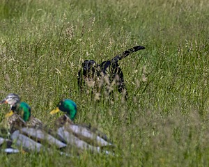 20210606-SEAL-1547.jpg