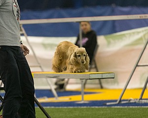 20150321-LEAP-1287.jpg