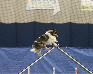 20150321-LEAP-1378.jpg
