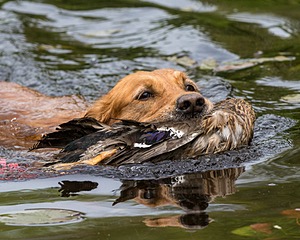 20170604-SEAW-0020.jpg