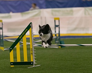 20150321-LEAP-0345.jpg