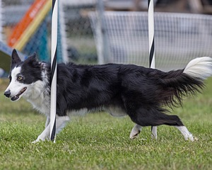 20230917-PVKC-2745.jpg