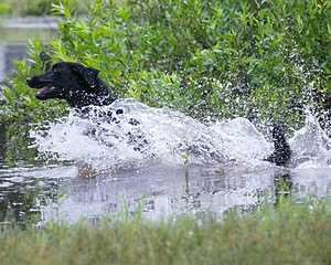 20130713-MHB2-0184.jpg