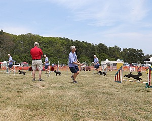 20150612-CCKCMC-0055.jpg