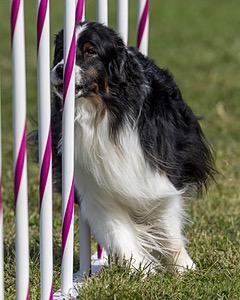 20230916-PVKC-1200.jpg