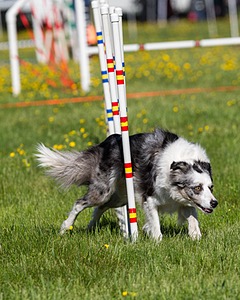 20170520-NEAT-0230.jpg