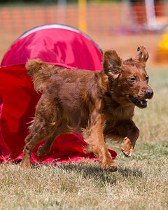 20150613-CCKC-0125.jpg
