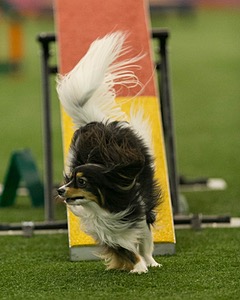 20150321-LEAP-1787.jpg