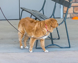 20250512-SCENT-0107.jpg
