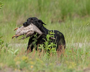 20080531-HRL-0124.jpg