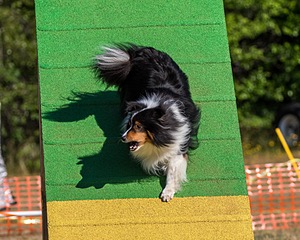 20160619-CCKC-0127.jpg