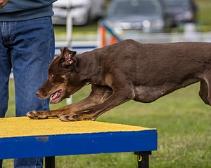 20230916-PVKC-0453.jpg