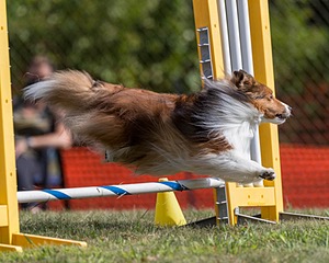 20200819-1029.jpg